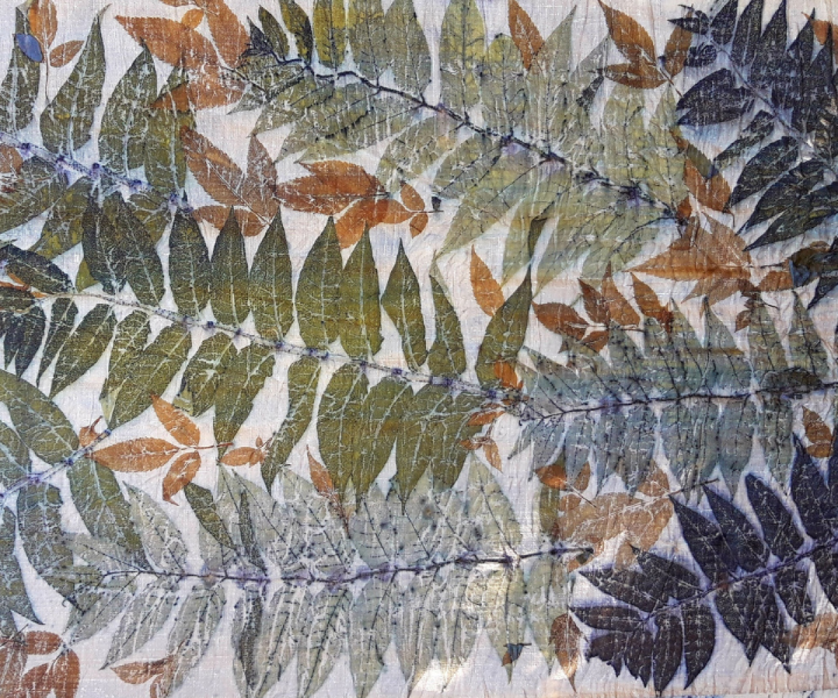 LALAZOO ARTELIER